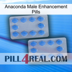 Anaconda Male Enhancement Pills 20